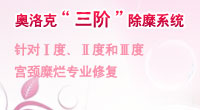 奥洛克“三阶”除糜系统